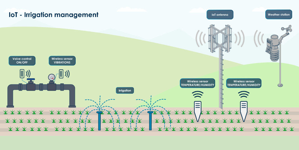IoT - Irrigation management